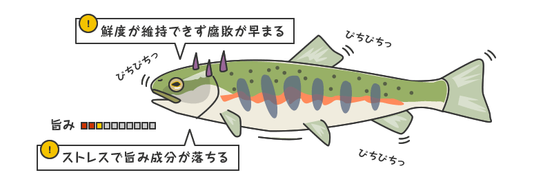 渓流魚の締め方や持ち帰り方 魚を釣った後にするべきことは Mukachi