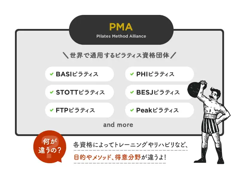 PMA認定資格の種類|BASIピラティス、PHIピラティス、STOTTピラティス、BESJピラティス、FTPピラティス、Peakピラティス